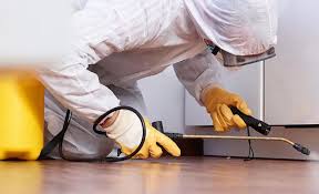 Trusted Aspermont, TX Pest Control Experts